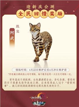 全国天龙八部私服